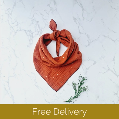 Terracotta & Gold Dog Bandana